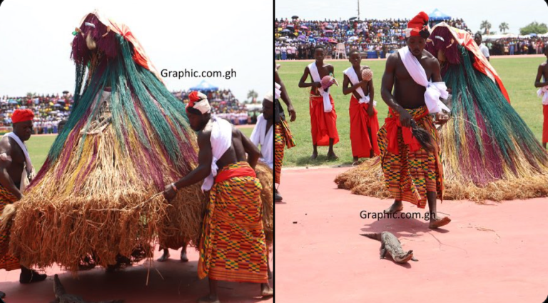 Crocodile Shows Up To Greet President Akufo-Addo During Independence Day Parade In Ho