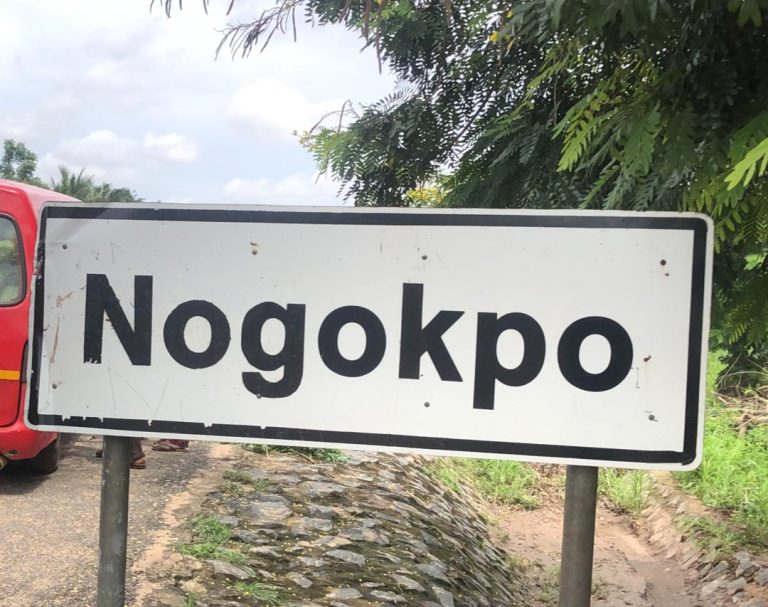 Nogokpo Remains The Gateway To Ghana, No One Can Challenge That - Fiator Agbodzalu