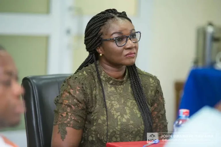 Joyce Bawa Chides Akufo-Addo For Praising 'Corrupt' Cecilia Dapaah Over Her Loyalty To Gov't