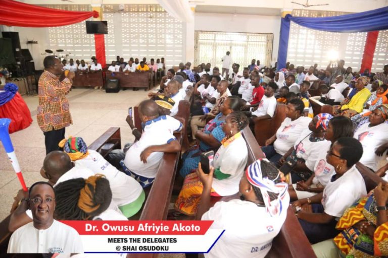 We Cannot Shamble Into "War" - Afriyie Akoto Urges NPP Delegates