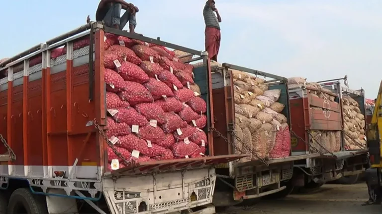 Benin boarder closure leaves onions damaged, sellers lament