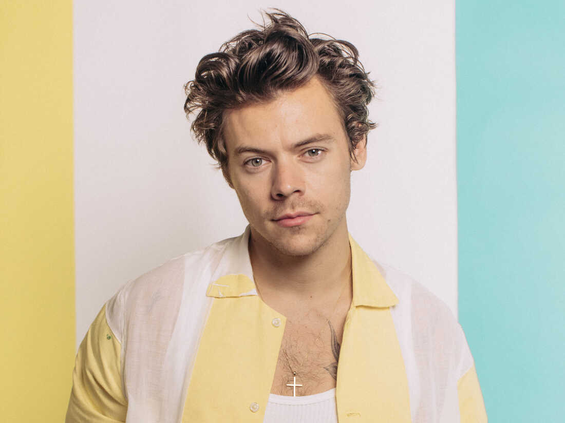 Harry Styles' Biography, Nationality,Age, Properties, Height, Records ...